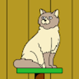 Meet your Posher, Noemi